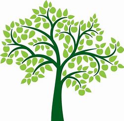 Legacy Family Tree Software